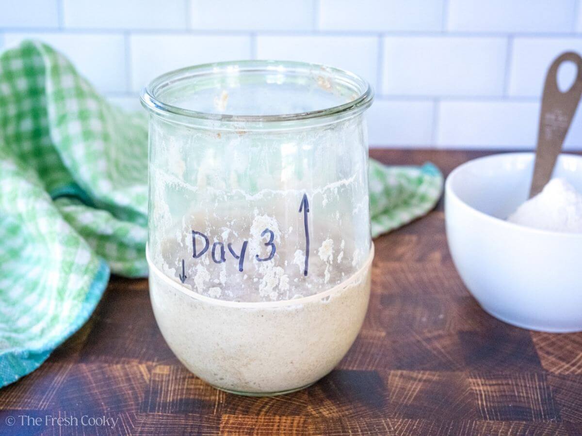 Day 3 sourdough starter in a glass jar.