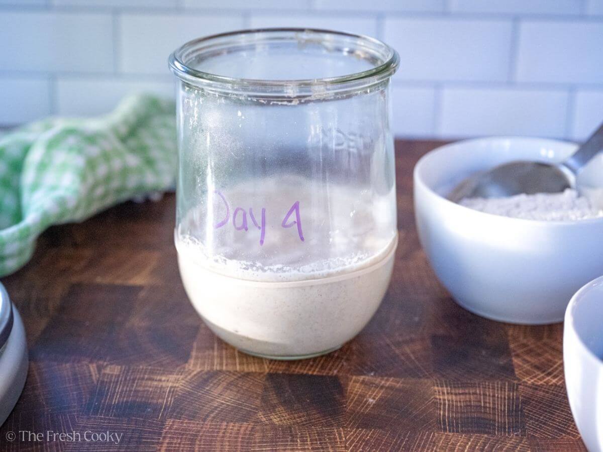 Sourdough starter in a jar labeled "day 4".
