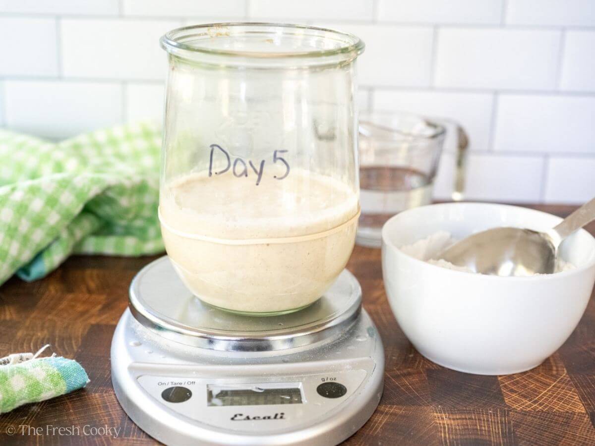 Sourdough starter in a glass jar on a kitchen scale with "day 5" written on it.