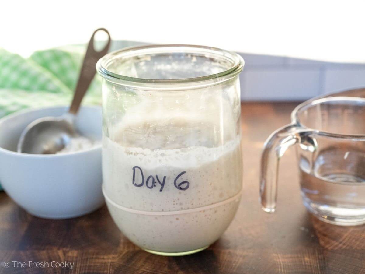 Glass jar with sourdough starter in it and a rubber band around it with words "day 6"