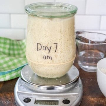 Sourdough starter in a glass jar with a rubber band around it on a kitchen scale with words "day 7".