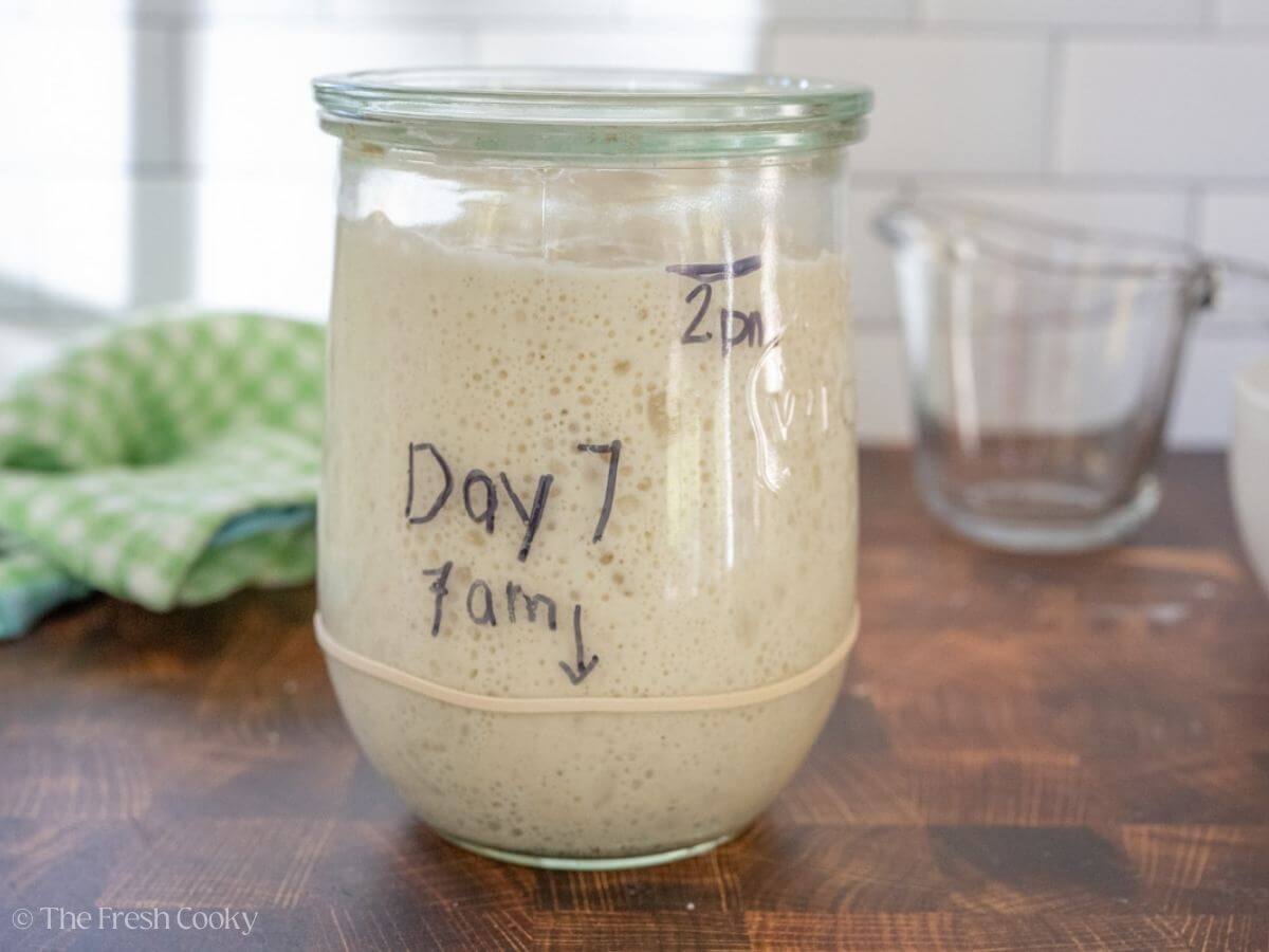 Glass jar of sourdough starter with rubber band labeled as 7 am and the top of the started labeled as 2 pm.