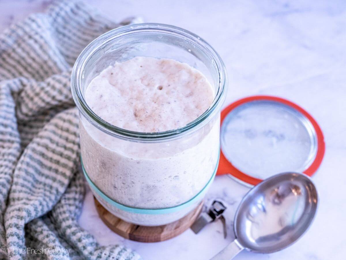 Fluffy, bubbly sourdough starter in a glass jar on a wooden coaster next to a measuring spoon.