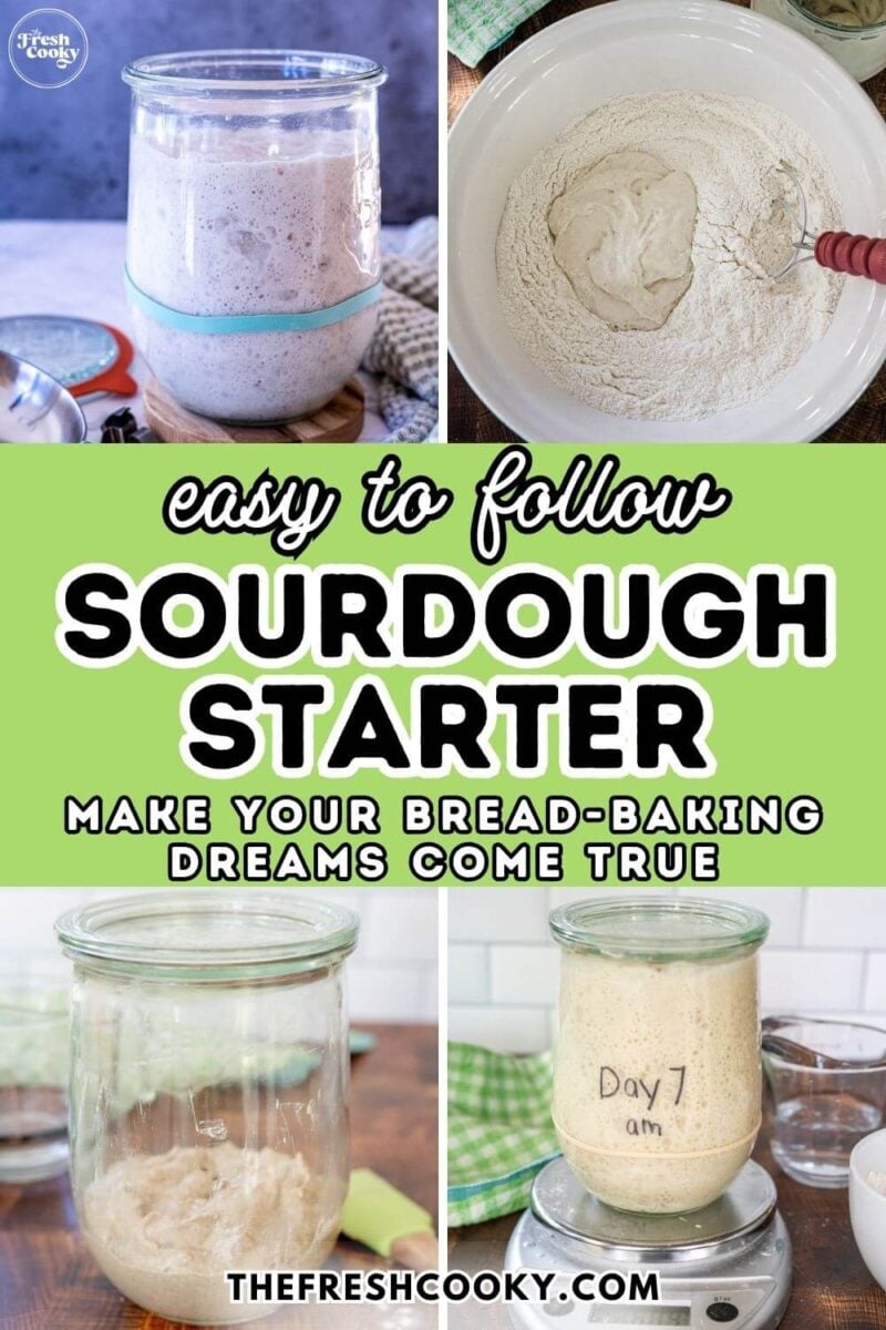 Various points in the process of making homemade sourdough starter, for pinning.