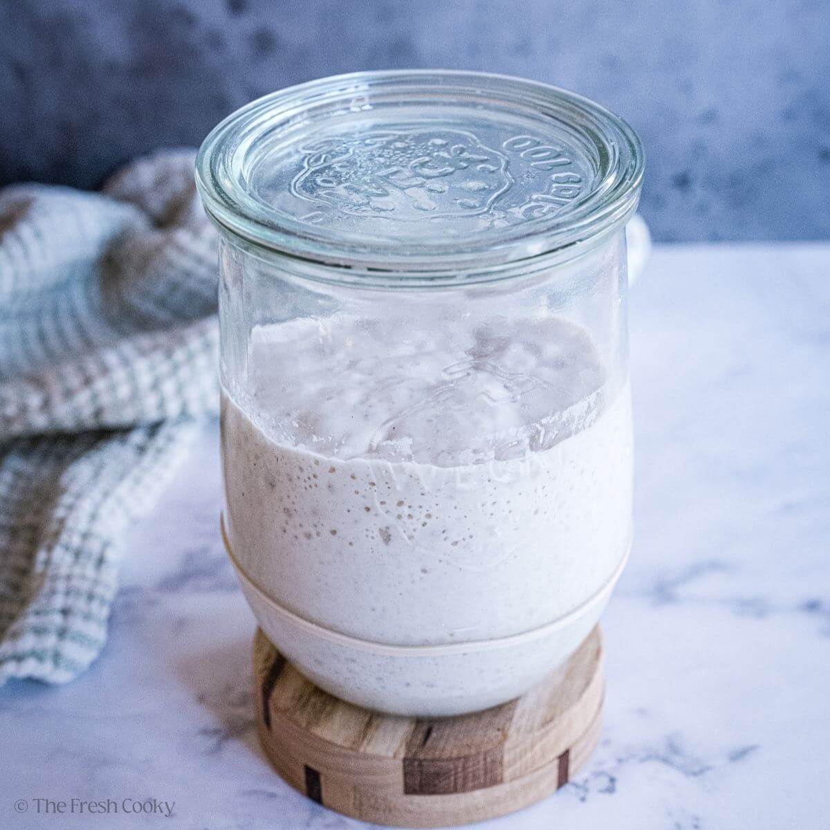 Sourdough starter in a large glass jar with the lid on top.