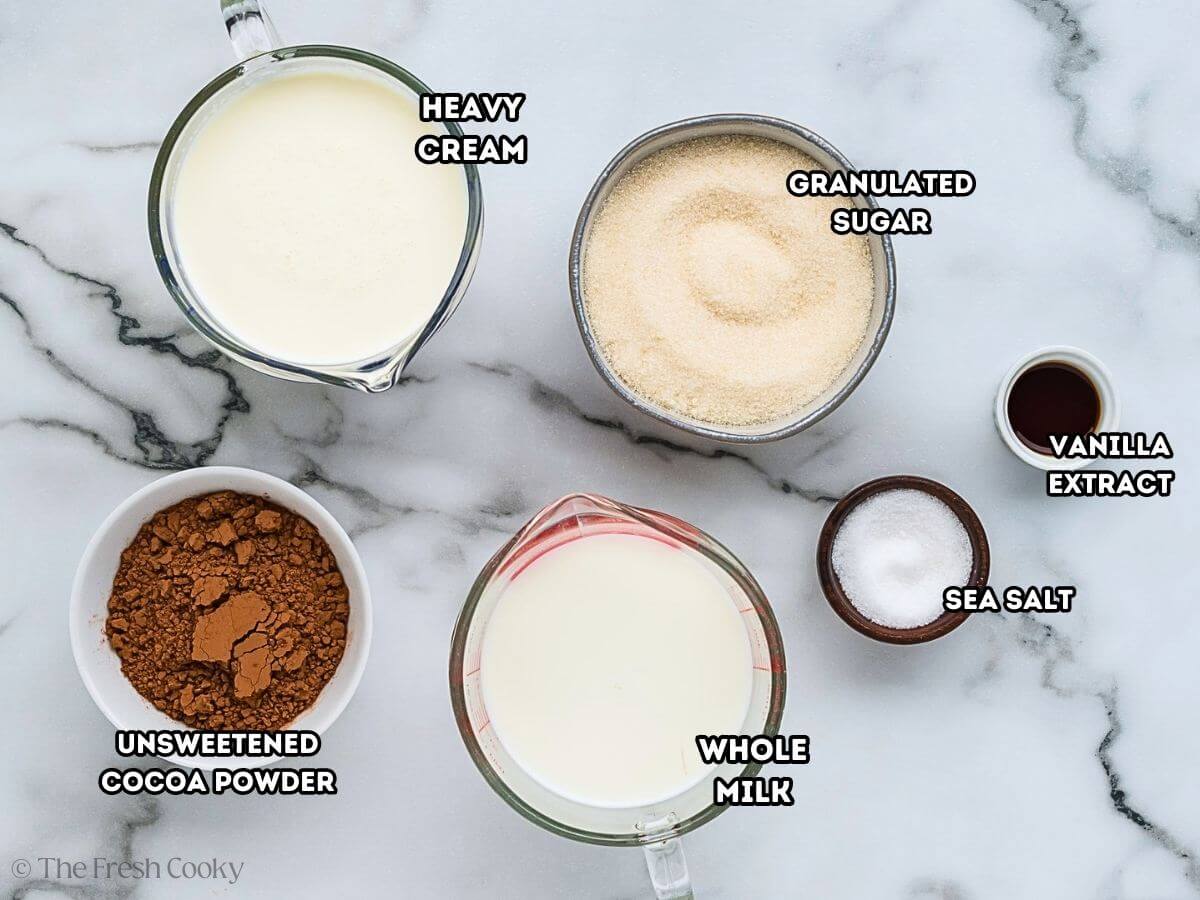 Labeled Ingredients for Chocolate ice Cream.