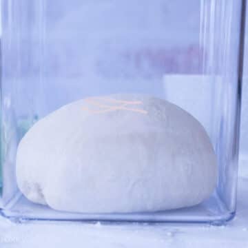 Side view of a line on the plastic container where the dough hits.