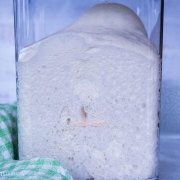 Sourdough pizza dough in a plastic container after rising and more than doubling in size.