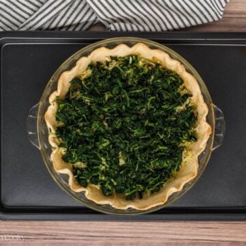 Squeezed and dried spinach placed in a layer in the pie crust.