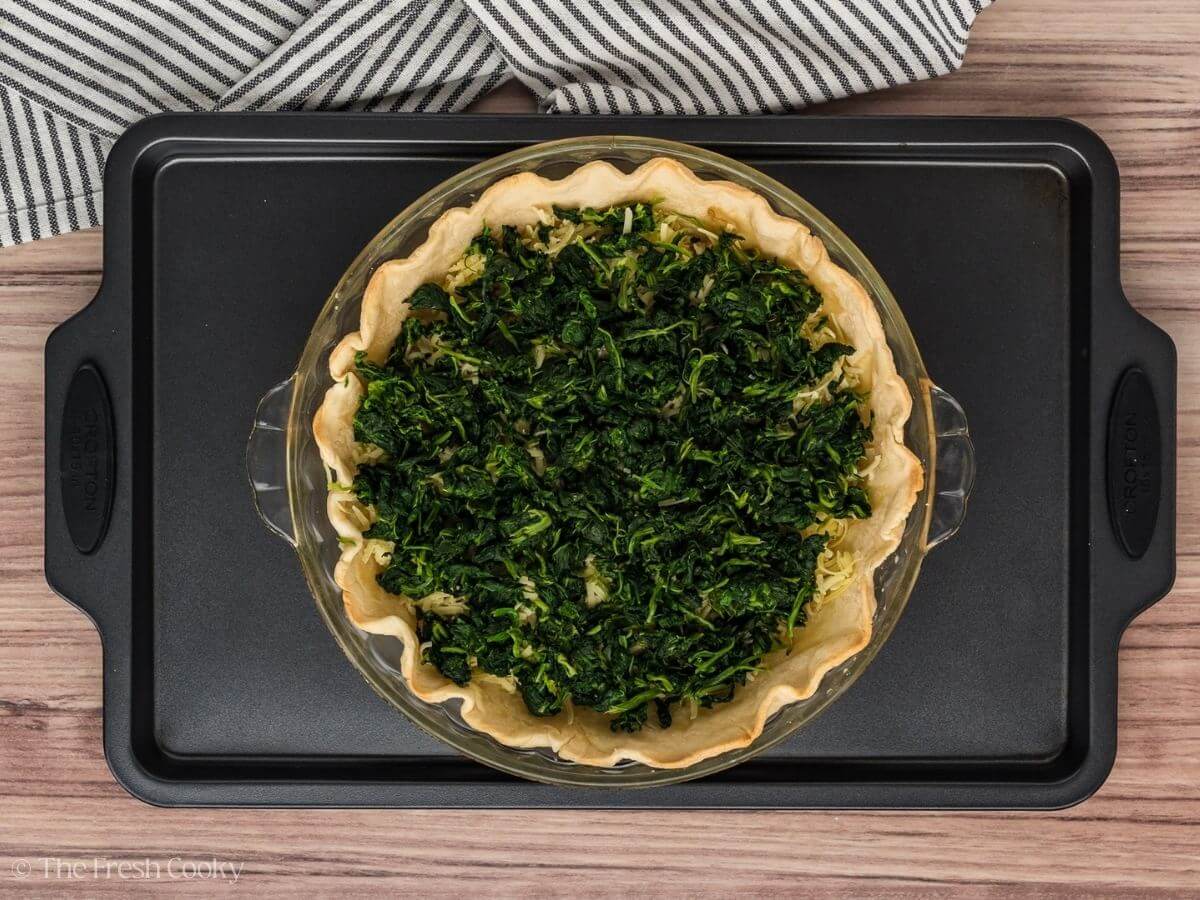 Squeezed and dried spinach placed in a layer in the pie crust.
