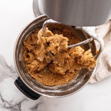 Batter will be darker than normal chocolate chip cookies.