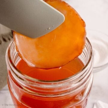 How to Make a Kombucha SCOBY (Mother)