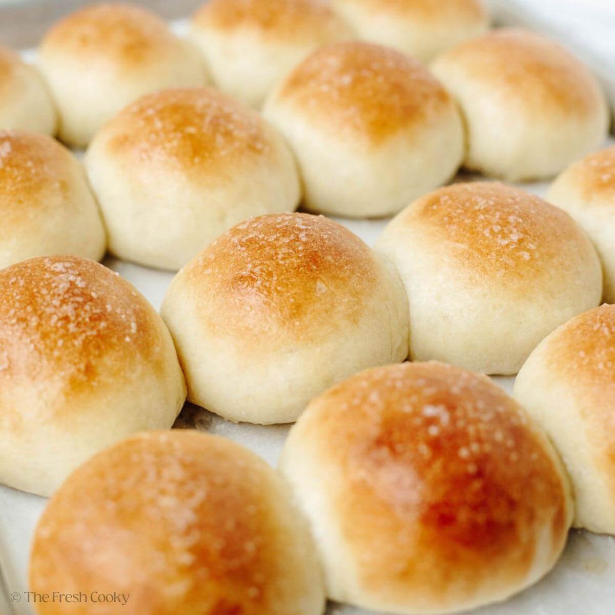 A pan of golden and fluffy easy yeast rolls.