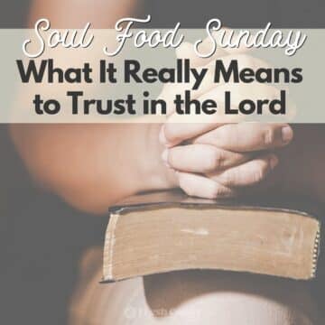 Soul Food Sunday – What It Really Means to Trust in the Lord