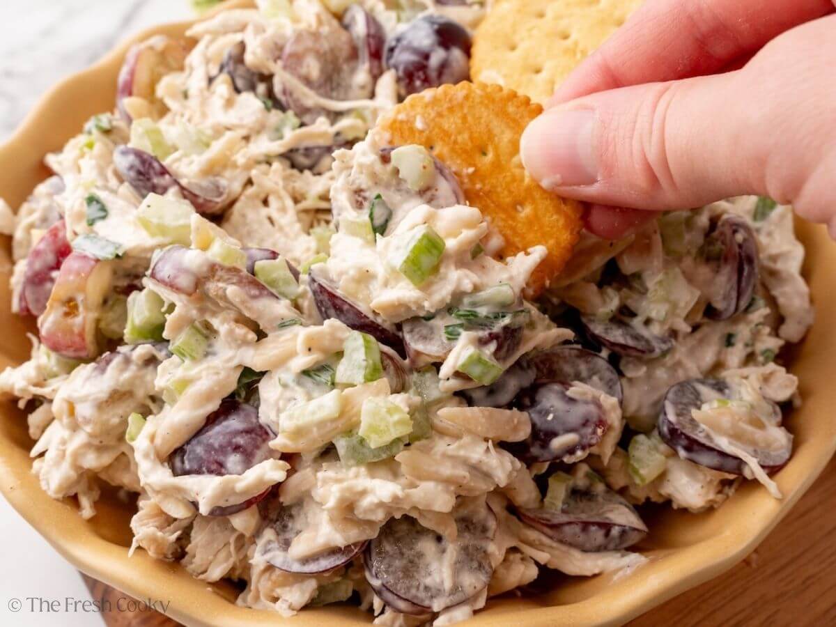 Hand scooping into chicken salad with grapes with a cracker.