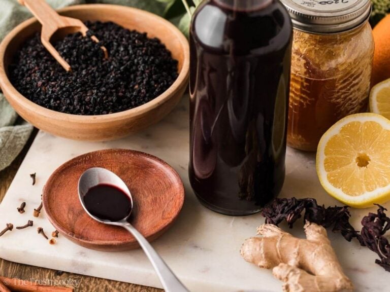 Bottle of elderberry syrup with a spoonful in a plate with dried elderberries nearby.