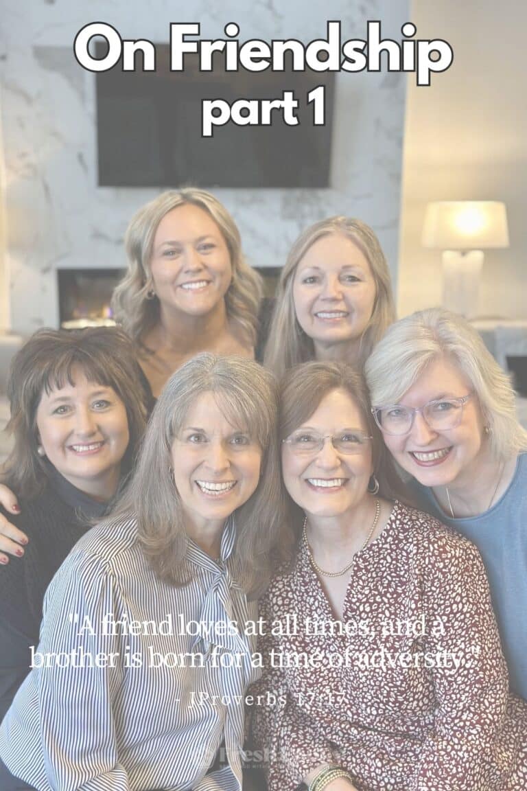 Six women close together all smiling for the camera, these are my mastermind friends.