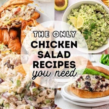 16 Best Chicken Salad Recipes
