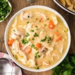 Bowl of copycat cracker barrel chicken and dumplings.