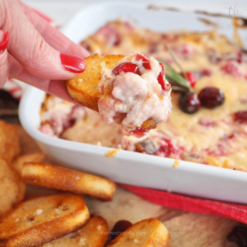 Cranberry Cream Cheese Dip with someone dipping a crostini into the cheesy dip.